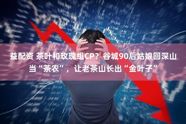 益配资 茶叶和玫瑰组CP？谷城90后姑娘回深山当“茶农”，让老茶山长出“金叶子”