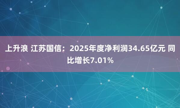 上升浪 江苏国信：2025年度净利润34.65亿元 同比增长7.01%